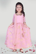 Girl’s Pastel Pink Skirt and Choli Set with Dupatta
